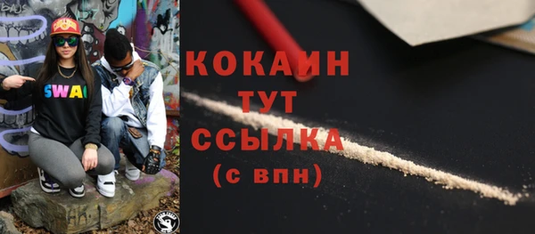 твердый Пестово