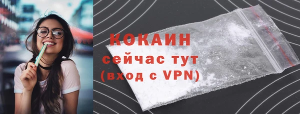 герыч Пересвет