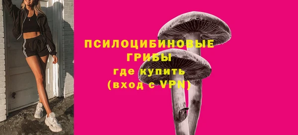 твердый Пестово