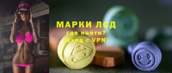 герыч Пересвет