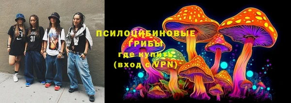 твердый Пестово