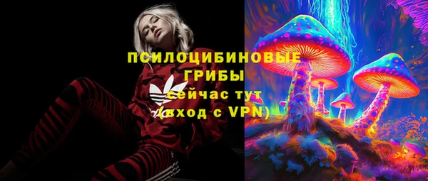 меф Переславль-Залесский