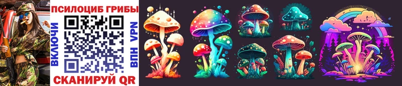 Псилоцибиновые грибы Psilocybe  что такое наркотик  Аркадак 
